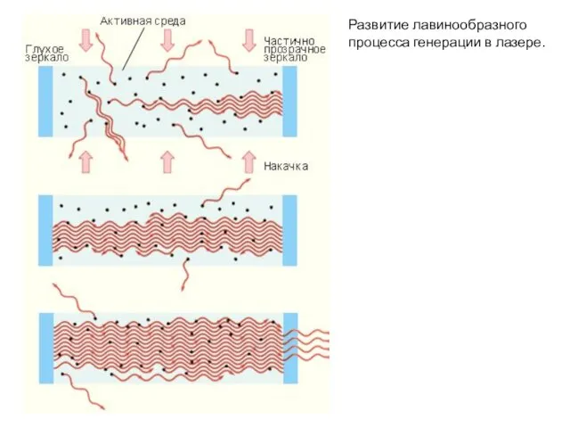 Развитие лавинообразного процесса генерации в лазере.