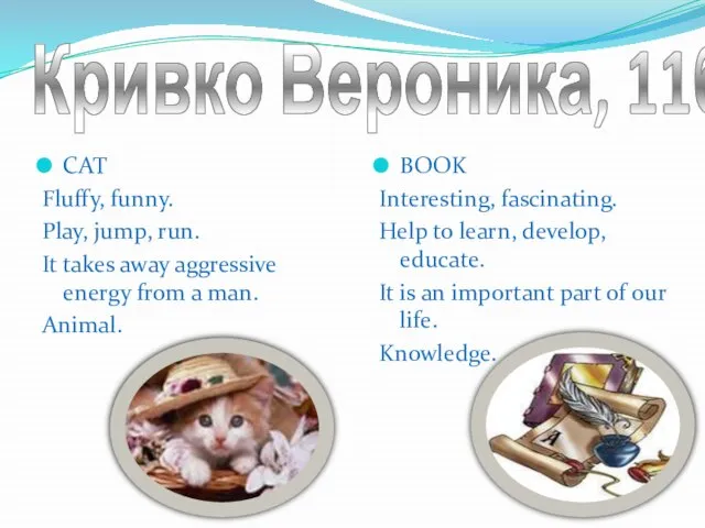 Кривко Вероника, 11б СAT Fluffy, funny. Play, jump, run. It takes