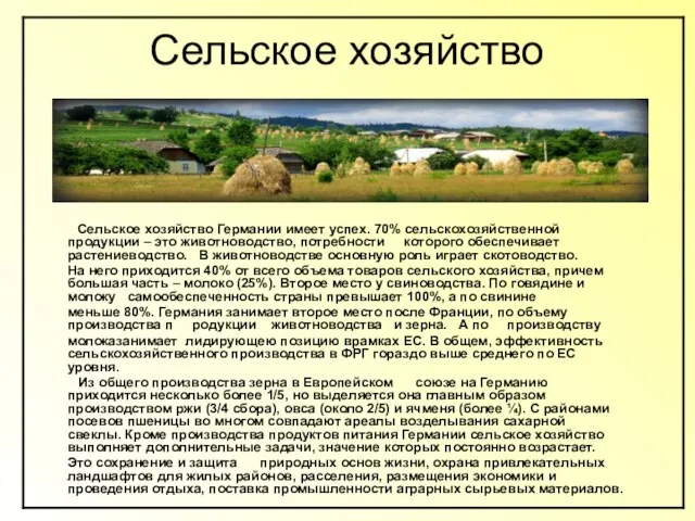 Сельское хозяйство Сельское хозяйство Германии имеет успех. 70% сельскохозяйственной продукции –