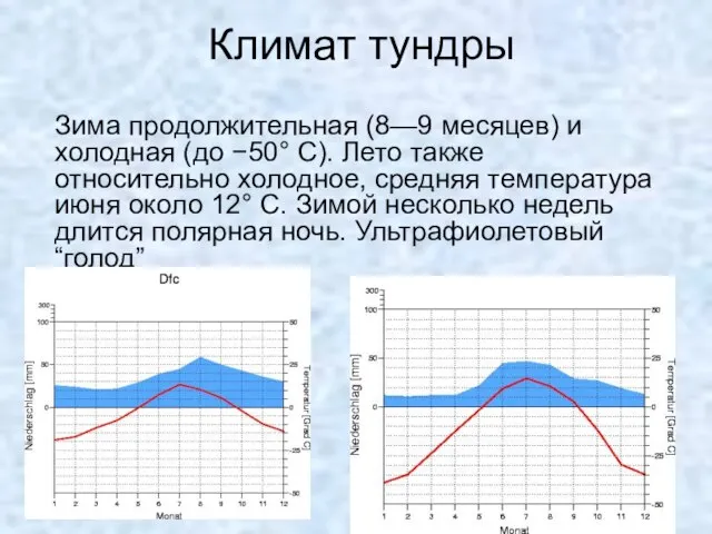 Климат тундры Зима продолжительная (8—9 месяцев) и холодная (до −50° С).