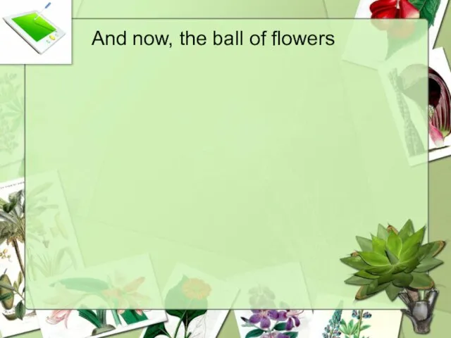 And now, the ball of flowers