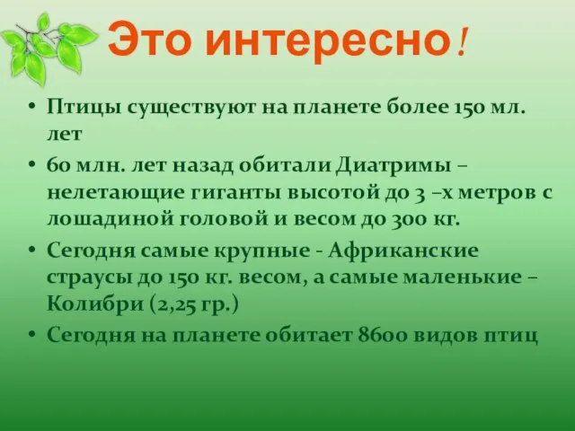 Это интересно! Птицы существуют на планете более 150 мл. лет 60