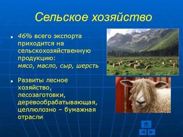 Сельское хозяйство 46% всего экспорта приходится на сельскохозяйственную продукцию: мясо, масло,