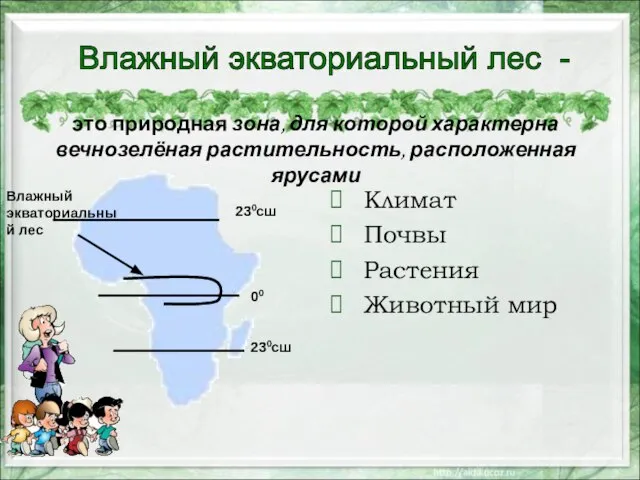 это природная зона, для которой характерна вечнозелёная растительность, расположенная ярусами Климат