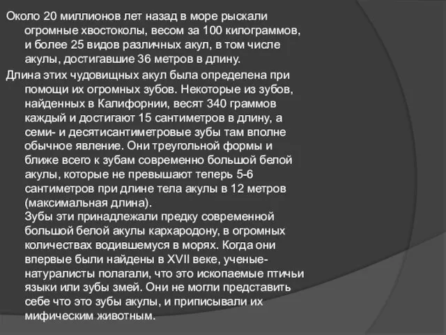 Около 20 миллионов лет назад в море рыскали огромные хвостоколы, весом