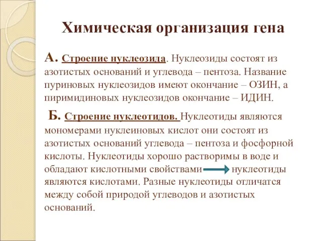 Химическая организация гена А. Строение нуклеозида. Нуклеозиды состоят из азотистых оснований