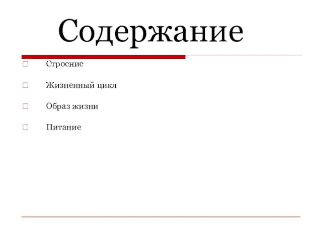 Содержание Строение Жизненный цикл Образ жизни Питание