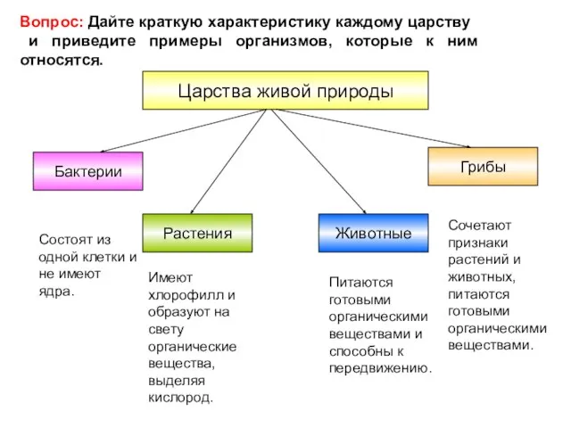 Царства живой природы Бактерии Грибы Растения Животные Состоят из одной клетки