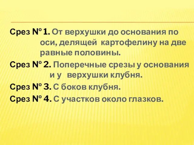 Срез № 1. От верхушки до основания по оси, делящей картофелину