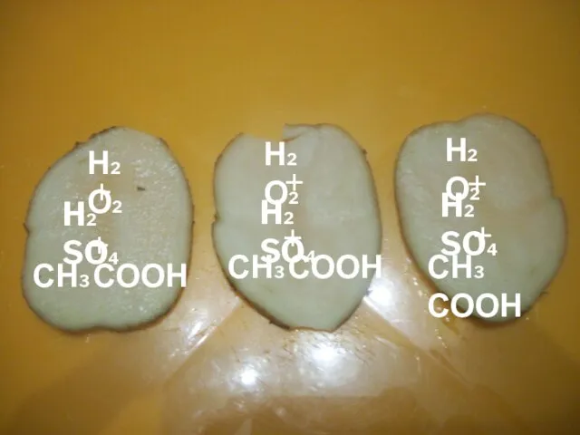 СН3 СООН + СН3 СООН + СН3 СООН + H2 SO4