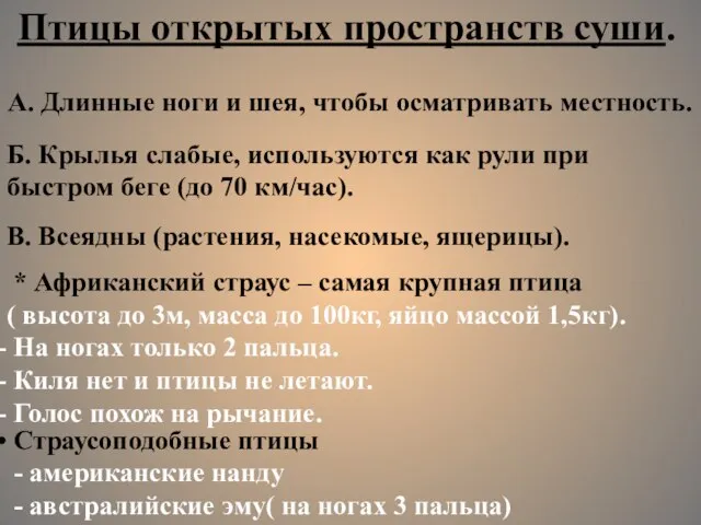 Птицы открытых пространств суши. А. Длинные ноги и шея, чтобы осматривать