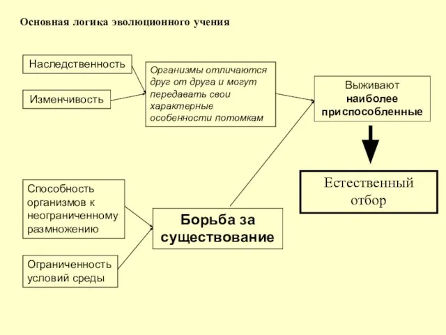 Основная логика эволюционного учения Наследственность Изменчивость Способность организмов к неограниченному размножению