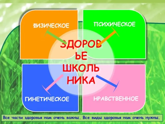 ЗДОРОВЬЕ ШКОЛЬНИКА ФИЗИЧЕСКОЕ ПСИХИЧЕСКОЕ Все части здоровья нам очень важны. Все