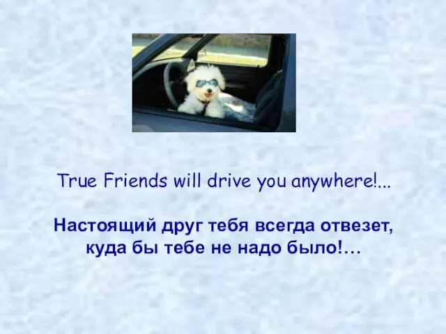 True Friends will drive you anywhere!... Настоящий друг тебя всегда отвезет,