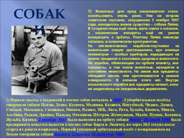 1) Животных для нужд космонавтики стали использовать очень рано. Уже на