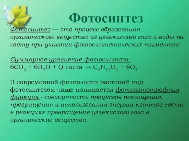 Фотосинтез — это процесс образования органического вещества из углекислого газа и