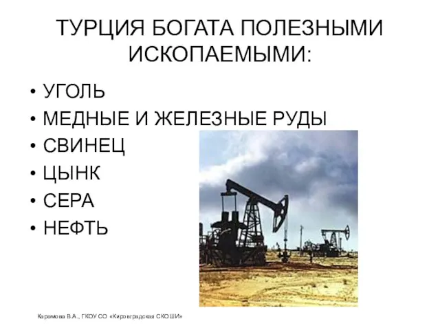 ТУРЦИЯ БОГАТА ПОЛЕЗНЫМИ ИСКОПАЕМЫМИ: УГОЛЬ МЕДНЫЕ И ЖЕЛЕЗНЫЕ РУДЫ СВИНЕЦ ЦЫНК