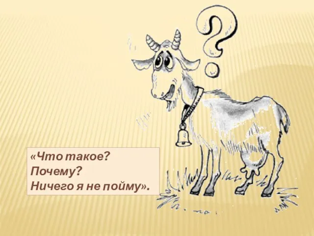 «Что такое? Почему? Ничего я не пойму».