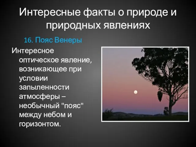 Интересные факты о природе и природных явлениях 16. Пояс Венеры Интересное