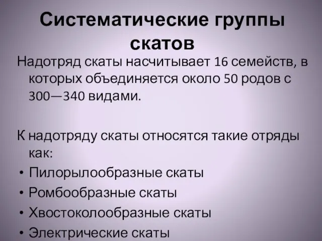 Систематические группы скатов Надотряд скаты насчитывает 16 семейств, в которых объединяется