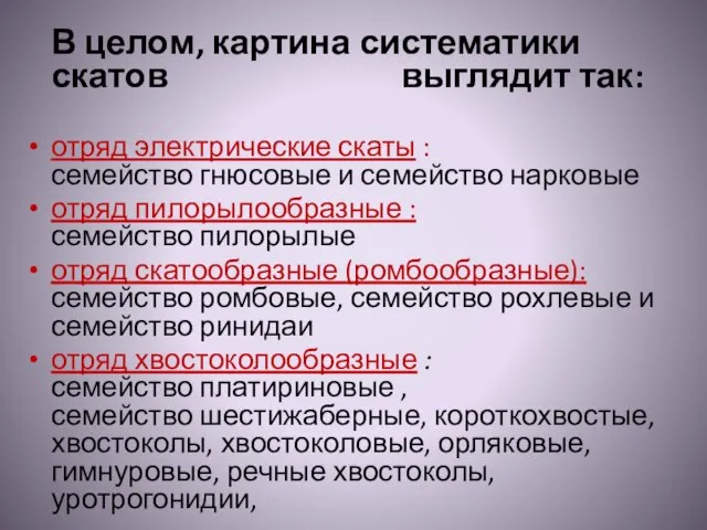 В целом, картина систематики скатов выглядит так: отряд электрические скаты :