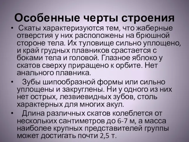 Особенные черты строения Скаты характеризуются тем, что жаберные отверстия у них