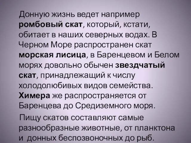 Донную жизнь ведет например ромбовый скат, который, кстати, обитает в наших