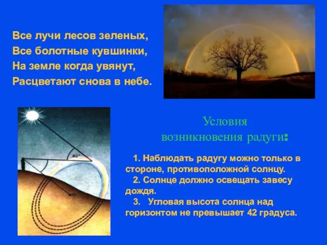 Условия возникновения радуги: Все лучи лесов зеленых, Все болотные кувшинки, На