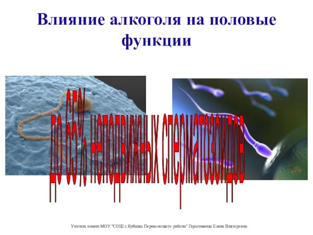 Влияние алкоголя на половые функции до 65% неподвижных сперматозоидов Учитель химии