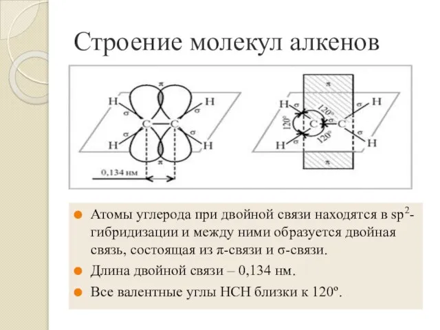 Строение молекул алкенов Атомы углерода при двойной связи находятся в sp2-гибридизации