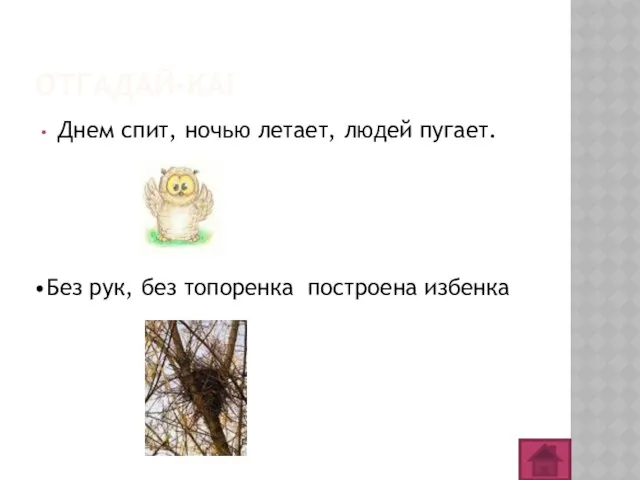 ОТГАДАЙ-КА! Днем спит, ночью летает, людей пугает. сова Без рук, без топоренка построена избенка гнездо