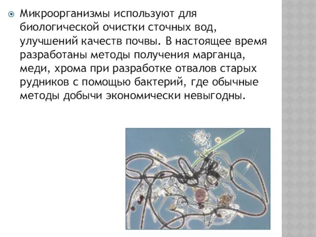 Микроорганизмы используют для биологической очистки сточных вод, улучшений качеств почвы. В