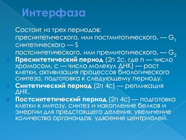 Интерфаза Состоит из трех периодов: пресинтетического, или постмитотического, — G1 синтетического