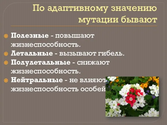 По адаптивному значению мутации бывают Полезные - повышают жизнеспособность. Летальные -