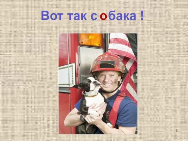 Вот так с . бака о !