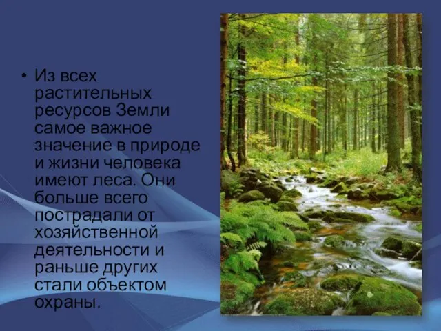 Из всех растительных ресурсов Земли самое важное значение в природе и