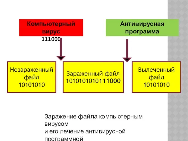 Компьютерный вирус 111000 Антивирусная программа Незараженный файл 10101010 Зараженный файл 1010101010111000