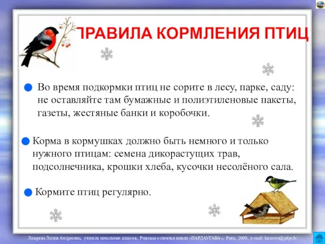 ПРАВИЛА КОРМЛЕНИЯ ПТИЦ Во время подкормки птиц не сорите в лесу,