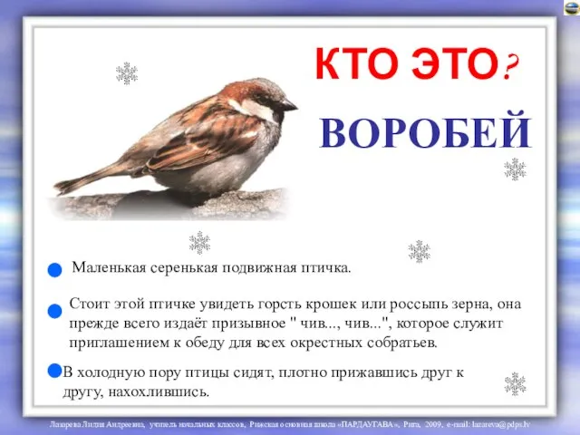 ВОРОБЕЙ КТО ЭТО? Маленькая серенькая подвижная птичка. Стоит этой птичке увидеть