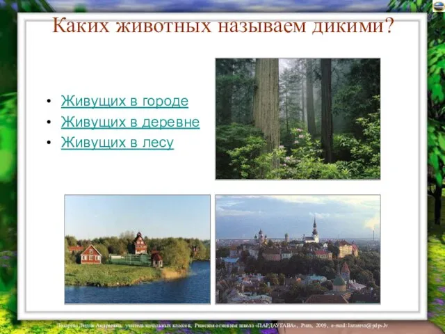 Каких животных называем дикими? Живущих в городе Живущих в деревне Живущих в лесу