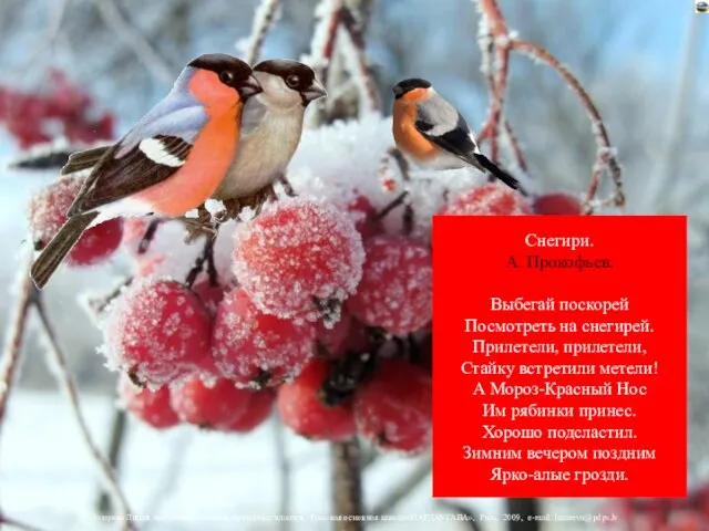 Снегири. А. Прокофьев. Выбегай поскорей Посмотреть на снегирей. Прилетели, прилетели, Стайку