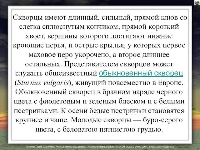 Скворцы имеют длинный, сильный, прямой клюв со слегка сплюснутым кончиком, прямой