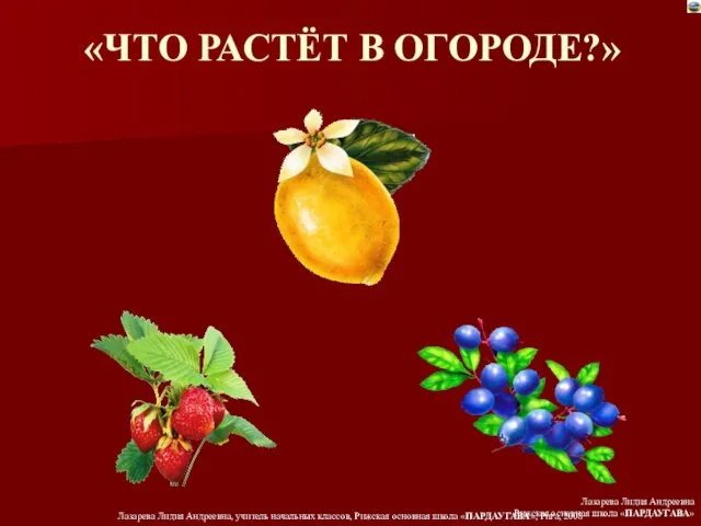 «ЧТО РАСТЁТ В ОГОРОДЕ?» Лазарева Лидия Андреевна Рижская основная школа «ПАРДАУГАВА»