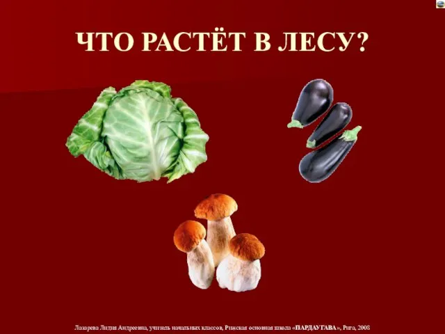 ЧТО РАСТЁТ В ЛЕСУ?