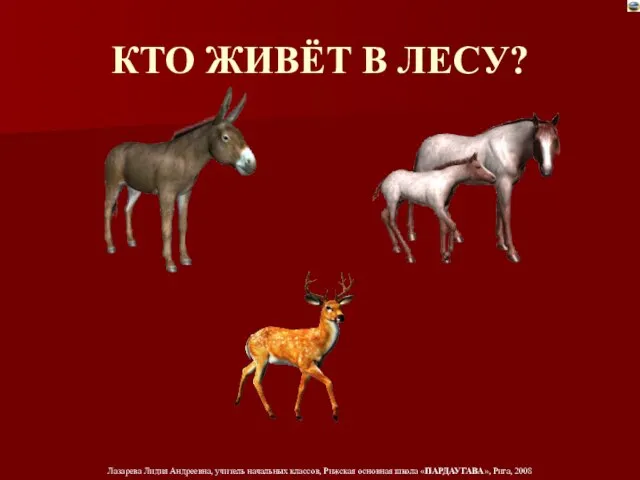 КТО ЖИВЁТ В ЛЕСУ?