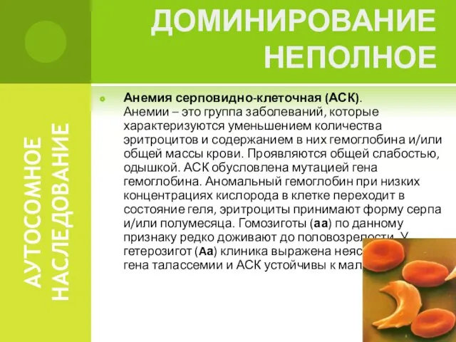 АУТОСОМНОЕ НАСЛЕДОВАНИЕ Анемия серповидно-клеточная (АСК). Анемии – это группа заболеваний, которые