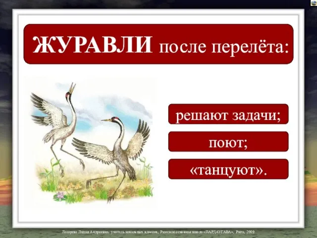 ЖУРАВЛИ после перелёта: решают задачи; поют; «танцуют».