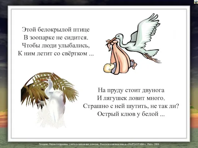 Этой белокрылой птице В зоопарке не сидится. Чтобы люди улыбались, К