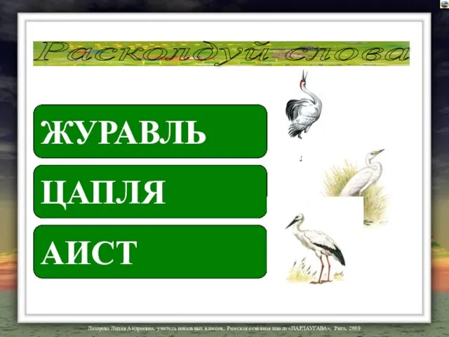 Расколдуй слова ВЖРЬЛУА ЯПЦЛА ИТАС ЖУРАВЛЬ ЦАПЛЯ АИСТ