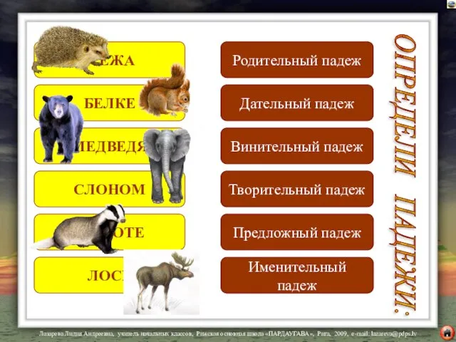 У ЕЖА БЕЛКЕ МЕДВЕДЯ СЛОНОМ О ЕНОТЕ ЛОСЬ ОПРЕДЕЛИ ПАДЕЖИ: Родительный